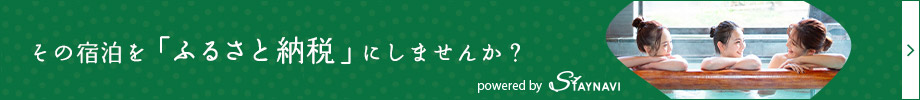 STAYNAVI